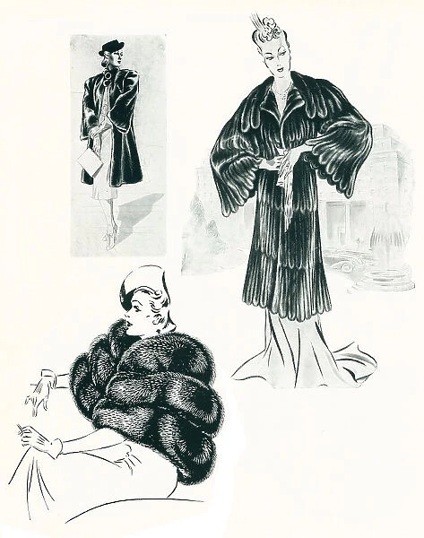 Fashion Furs Illustrations