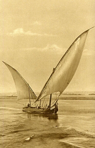 Felucca with lateen sails on the River Nile, Egypt