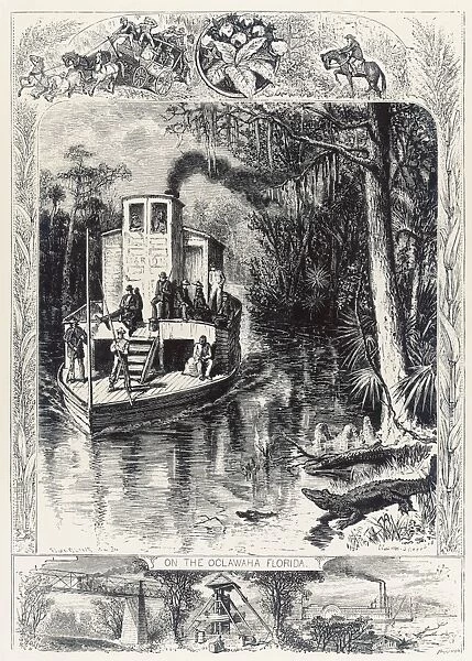 Florida Swamp  /  Steamer