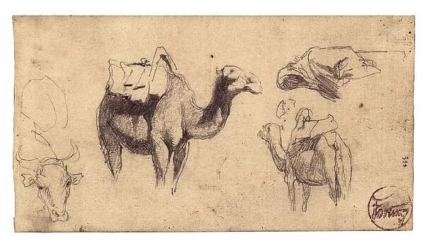 FORTUNY I MARSAL, Mariano (1838-1874). Camels. Notes