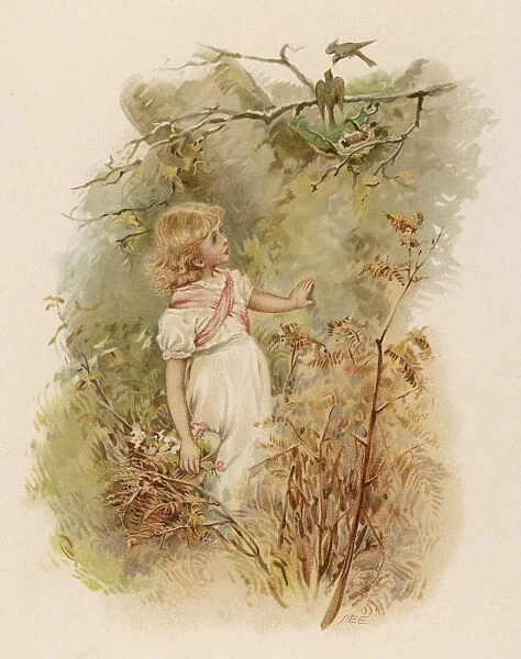 GIRL ADMIRES NEST 1891