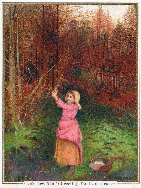 Girl collecting firewood on a New Year card