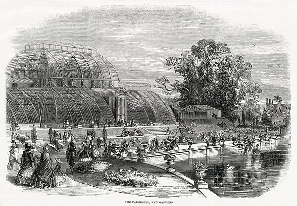 The Great Palm House, Kew Gardens 1859