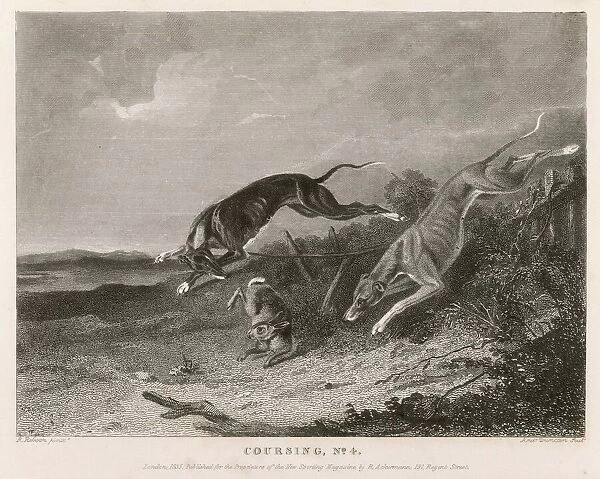 Hare Coursing 1835