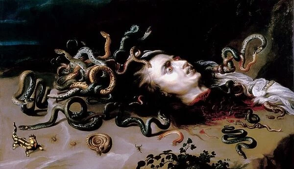 The Head of Medusa