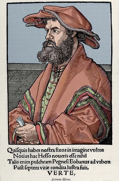 Helius Eobanus Hessus (1488-1540). Portrait. Colored engravi
