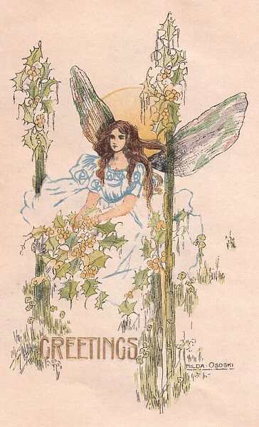 Hilda Ososki fairies