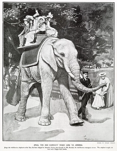 Jingo the Zoo Elephant Goes to America 1903