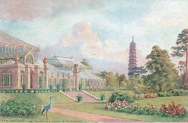 Kew Gardens, The Temperate House and the Pagoda, London
