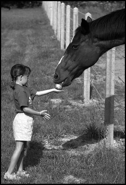 Little girl feeding apple to a horse. France