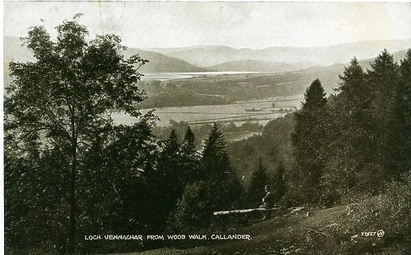 Loch Venachar from the Woods, Callander, Stirlingshire