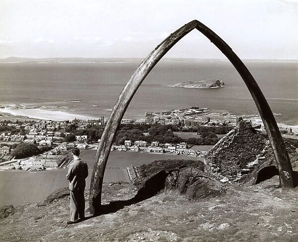 Looking down on North Berwick - Whale Bones atop hill