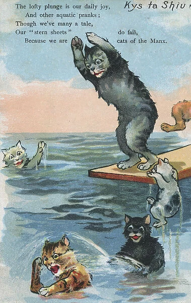 Manx Cats go for a swim
