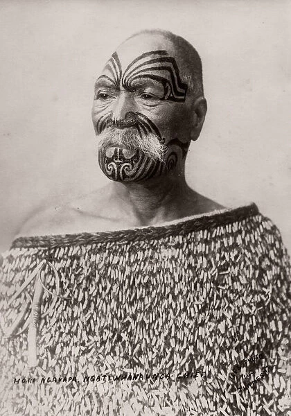 Maori man with facial tattoo, tatttooing, New Zealand, c. 1890 s