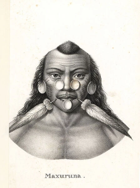 Matses warrior with facial tattoos, shells and feathers