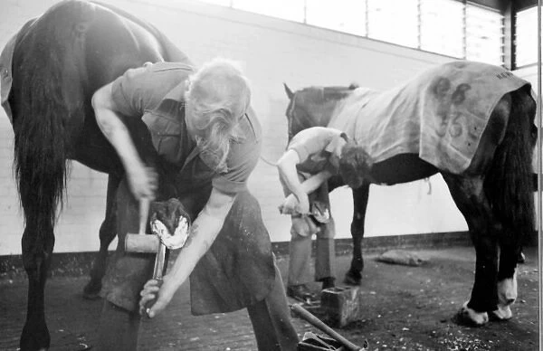 Men at work on horses hooves