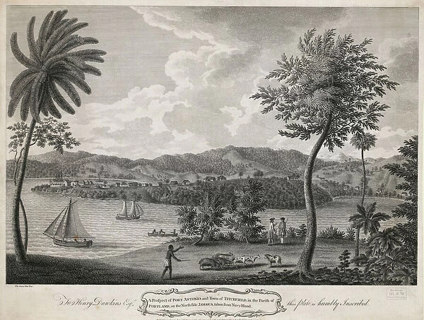 A prospect of Port Antonio, and town of Titchfield, in paris