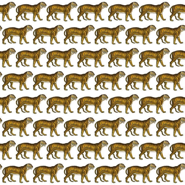 Repeating Pattern - Tigers - white background