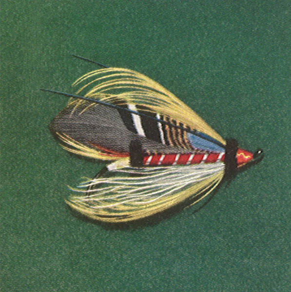 Salmon Fly Date: 1950