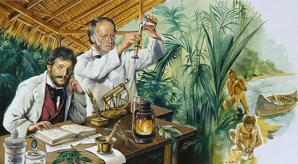 Scientific experiments in the jungle in the early