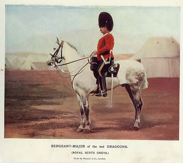 Sergeant-Major of the 2nd Dragoons, Royal Scots Greys