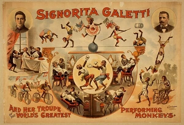 Signorita Galetti and her troupe of the worlds greatest per