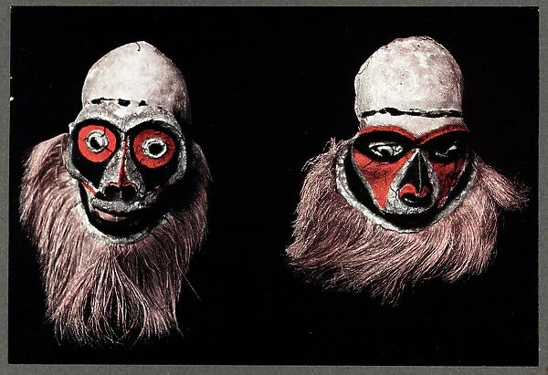 Skull Face Masks