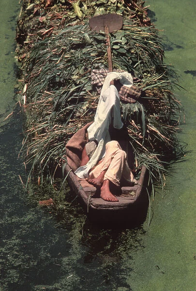 Sleeping Kashmir boatman