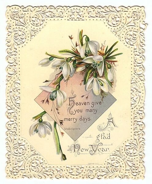 Snowdrops on a New Year card