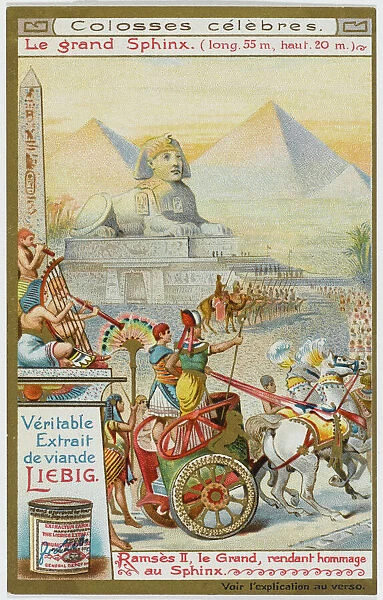 Sphinx  /  Rameses II Period