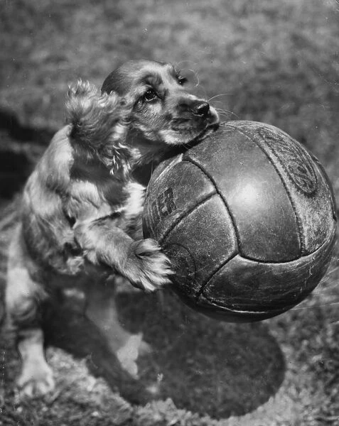 Susi - posing with a football
