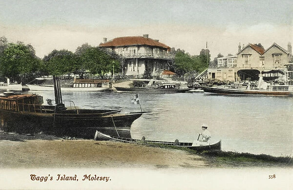 Taggs Island, Molesey