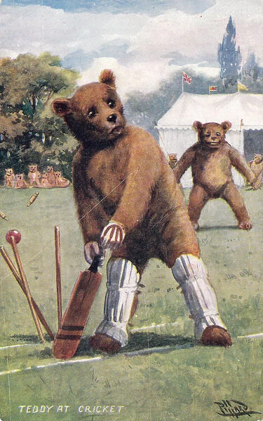 Teddy bear playing cricket