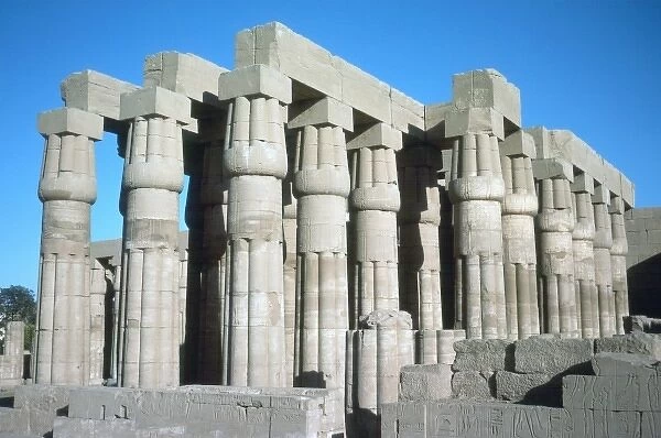 Temple of Luxor  /  Columns