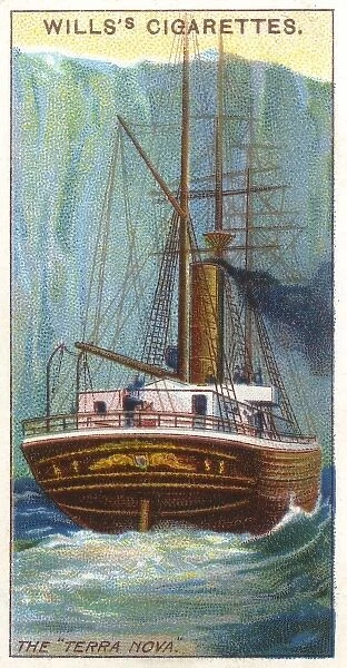 Terra Nova Steamship