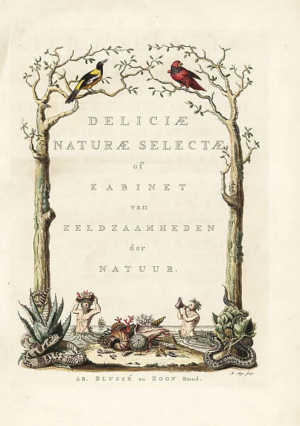 Title page with vignette from Knorrs Deliciae