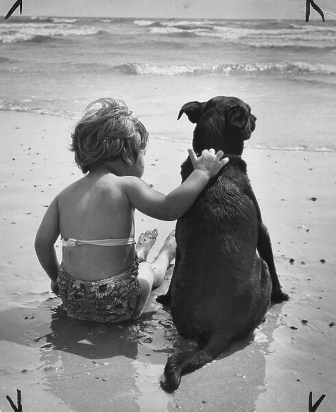 Toddler and pet dog sitting on a beach