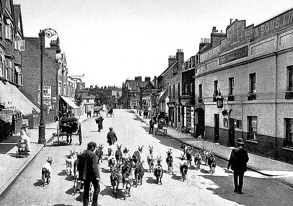 Tonbridge High Street early 1900s