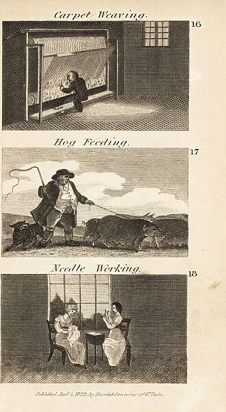 Trades in Regency England. Carpet weaving, hog feeding