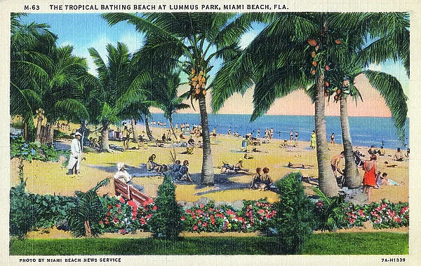 Tropical Bathing Beach at Lummus Park, Miami Beach, Florida