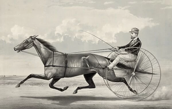 The trotting mare Goldsmith Maid driven by Budd Doble