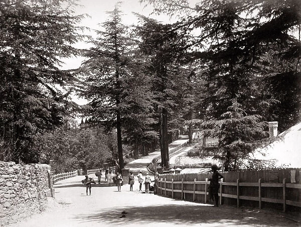 View of The Mall, Simla, Shimla, India, c. 1860 s