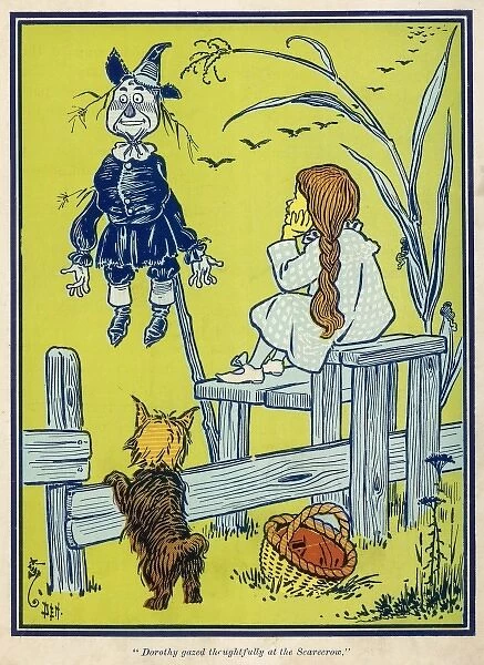 Wizard of Oz  /  Scarecrow