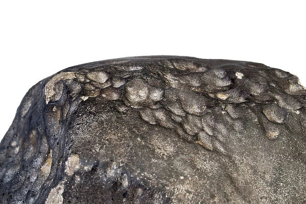 Wold Cottage meteorite (detail)