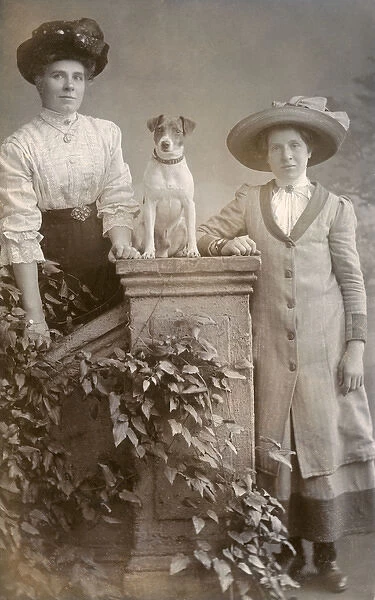 Women with a Jack Russell
