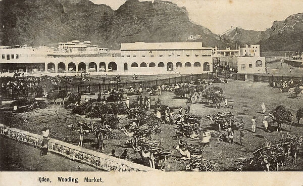 Wooding (Camel) Market, Crater (Kraytar), Aden