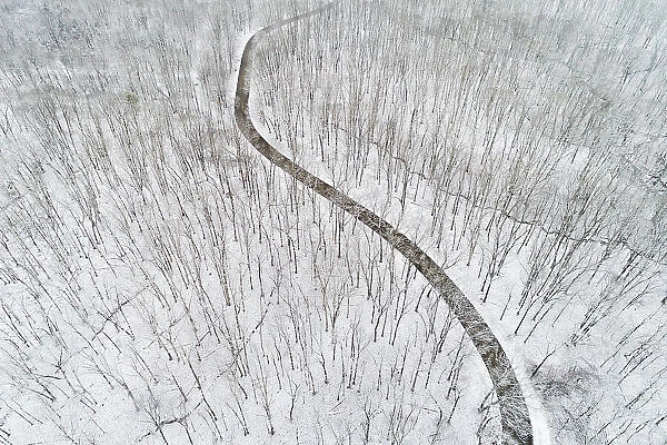 Aerial view of a fresh snow over the forest and road, Marion County, Illinois Date: 30-01-2020