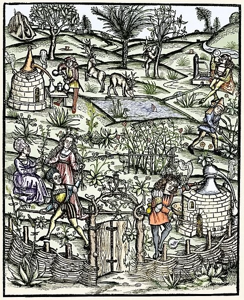 15th century herb garden, artwork