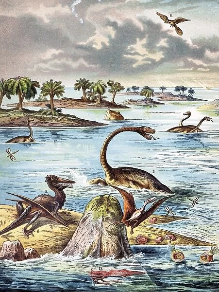 1888 color lithograph Jurassic solnhofen