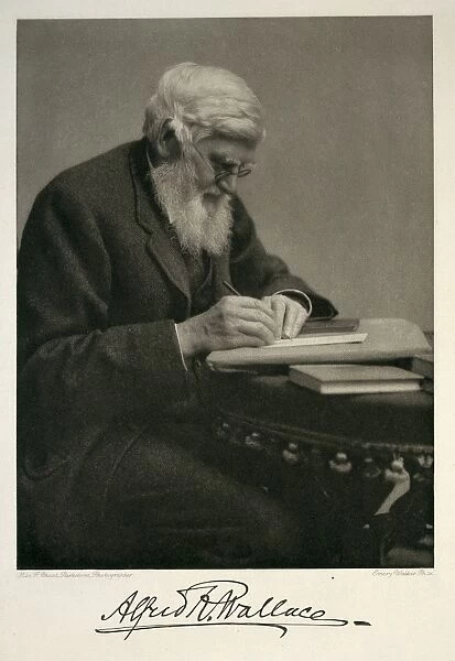 Alfred Russel Wallace, British naturalist C016  /  5259